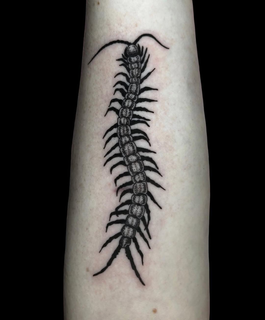 Centipede tattoo on forearm